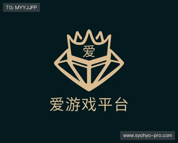 了解爱游戏平台